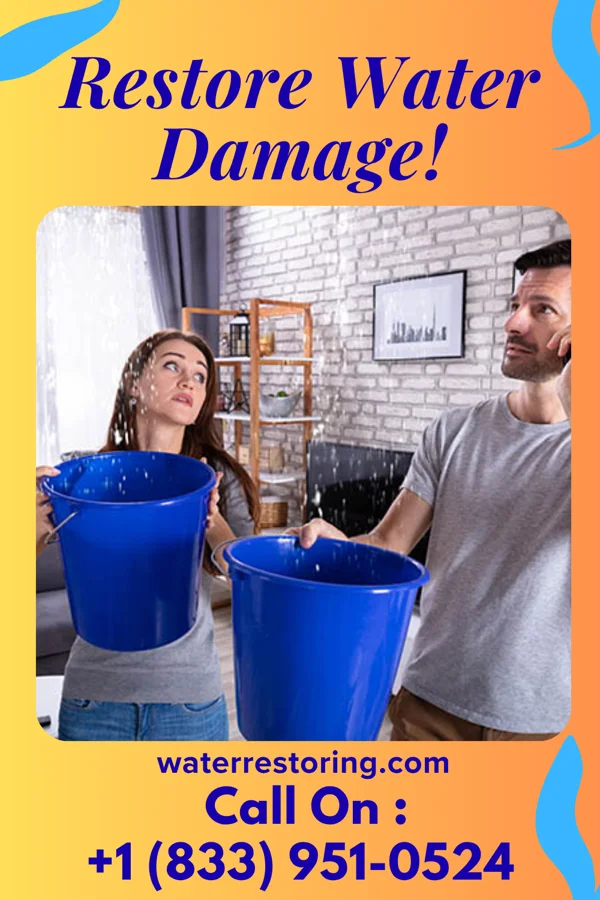 water restoration Eagle Sewage Cleanup Partners Wright