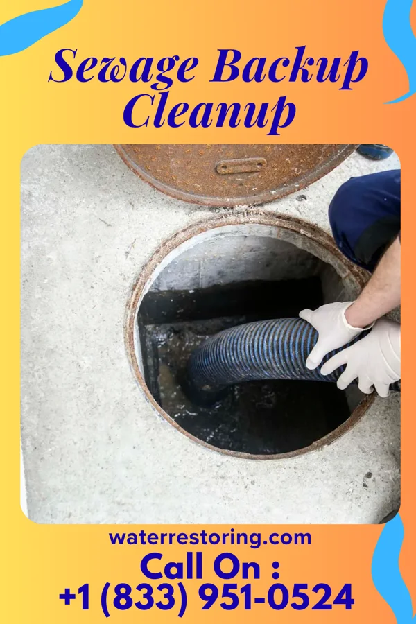 Sewage Backup Cleanup in Wright, FL