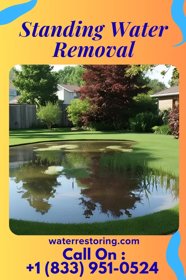 Standing Water Removal in Wright, FL